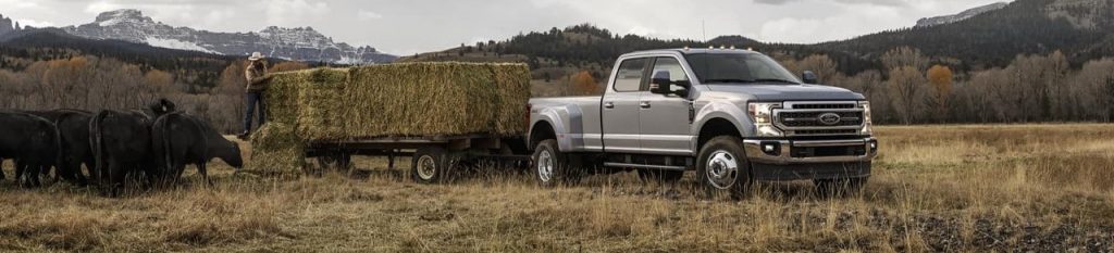 Farm Trucks and Cattle